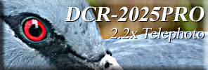 Click and go to DCR-2025PRO