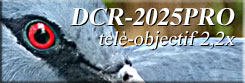 DCR-2025PRO tèlè-objectif 2,2x