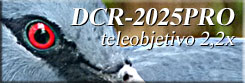 DCR-2025PRO teleobjettivo 2,2x